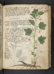 Adicionar MS 41623 