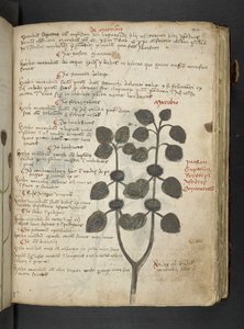 Adicione MS 41623 