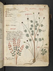 Adicionar MS 41623 