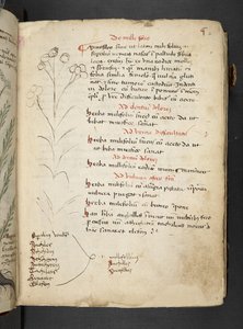Adicionar MS 41623 