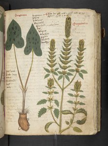 Adicionar MS 41623 
