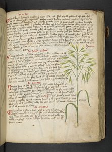Adicionar MS 41623 