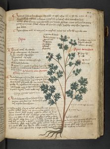 Adicione MS 41623 