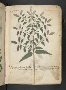 Adicionar MS 41623 