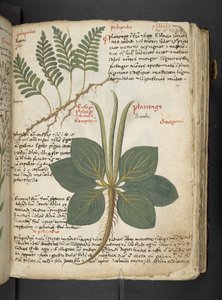 Adicionar MS 41623 