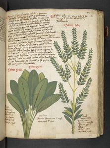 Adicionar MS 41623 