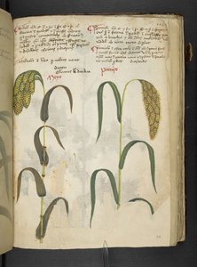 Adicionar MS 41623 f.117r 