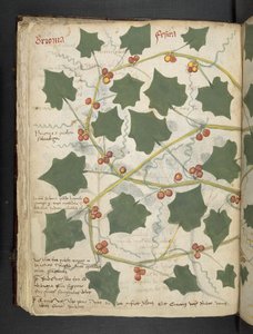 Adicionar MS 41623 f.53v 