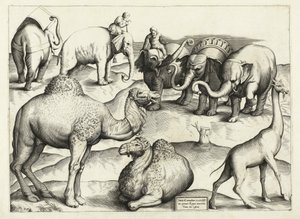 Pinturas de animais da Roma Antiga, Tabela, 3., pub. Antonio Lafrere 1528 de Italian School