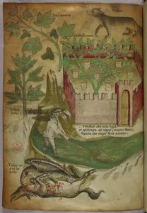 Ilustração botânica e animal de plantas, um jardim murado, um lobo, um homem a pescar num riacho com uma rede e um abutre a debicar a carcaça de um animal, c.1440 (tinta e cor sobre velino) de Italian School