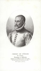 Carolus Clusius de Italian School