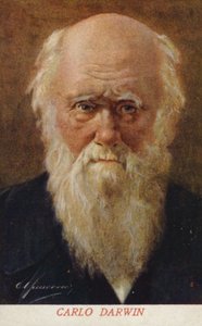Charles Darwin (1809-1882), naturalista inglês (litografia a cores) de Italian School
