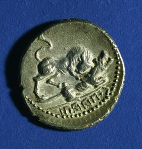 Moeda das Tribos Itálicas mostrando um touro atacando a loba romana, 89-90 aC (prata)