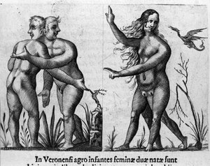 Diferentes tipos de monstros humanos: um homem com duplo corpo e cabeça e uma mulher com quatro pernas e dois sexos. Gravura de "De monstrorum natura, causis et differentiis" de Fortunio Liceti (1577-1656), cientista italiano. 1646 de Italian School
