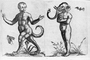 Diferentes tipos de monstros humanos: um homem com patas de animais e outro com cabeça de elefante. Gravura de "De monstrorum natura, causis et differentiis" de Fortunio Liceti (1577-1656), cientista italiano. 1646 de Italian School