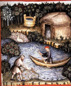 Fol.82r Peixe fresco, ilustração de 