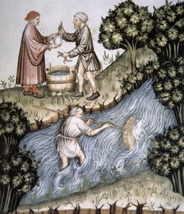Fol.84r Pesca, ilustração de Tacuinum Santiatis Codex Vindobonensis de Italian School