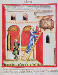 Vinagre Fol.85v, ilustração de Tacuinum Santiatis Codex Vindobonensis de Italian School