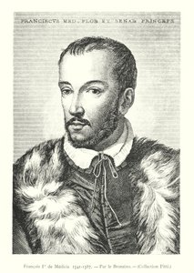 Francisco I de Medici de Italian School
