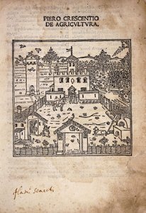 Página de título ilustrada de 