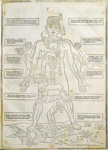 Ilustração de 