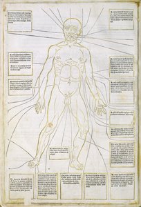 Ilustração de 