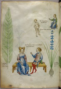 Ilustração de cavalinha [hyppuris], e íris [ jacintus]; figuras representando aspectos da sexualidade humana, c.1440 (tinta e cor sobre velino) de Italian School