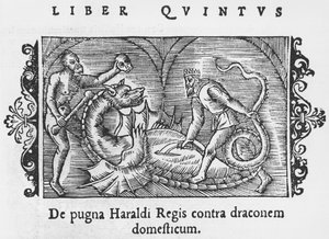 Rei Harald luta um dragão, de uma história dos povos do norte por Olaus Magnus (1490-1558), publicado em Roma, 1555 de Italian School