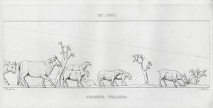 La Colonna Trajana, Trajan