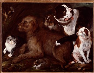 Cães Medici, com um gato e um coelho da escola italiana de Italian School