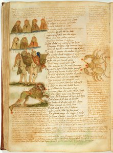 Ms Ital 483 P.4.7 f.156v Gêmeos, Leão e Câncer, do 