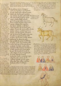 Ms Italien 87 fol.171 Página ilustrando signos astrológicos, de 