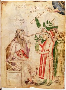 Ms Lat 6823 fol.1 Homens apresentando plantas a um homem desconhecido, de De Herbis por Manfredus de Monte Imperiali de Italian School