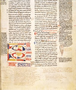 Ms. McClean 135, f.96r: detalhe de uma forma de planta inicializada C de Gratians Decretum, final do século XII de Italian School