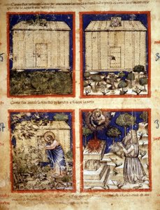 Arca de Noé, Miniatura tirada do códice 212 (ou códice padovano ou Bíblia de Pádua) 1390-1400 Rovigo, Accademia dei Concordi de Italian School
