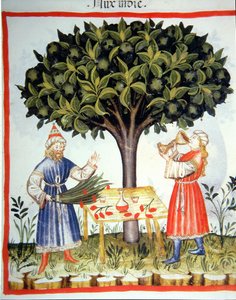 Reunindo fol.14r fresco 2644 Noz-moscada, de Tacuinum saudável de Italian School