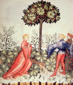 Nova 2644 fol.24r de colheita de mostarda, de Tacuinum saudável de Italian School
