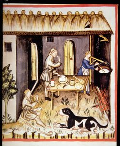 Nova 2644 fol.62r Preparação de queijo branco, de Tacuinum Sanitatis de Italian School