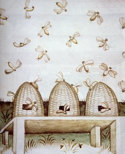 Novos 2644 fol.94v Colmeias, de Tacuinum saudável de Italian School