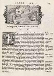 Histórico Na página 735 do gentive do Norte por Magnus Olaus, Roma 1565 (impressão e gravura) de Italian School