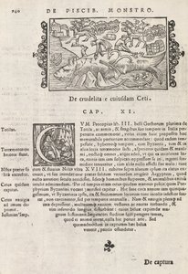Histórico Na página 740 do gentive do Norte por Magnus Olaus, Roma 1565 (impressão e gravura) de Italian School