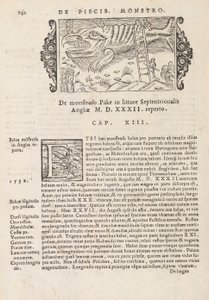 Histórico Na página 742 do gentive do Norte por Magnus Olaus, Roma 1565 (impressão e gravura) de Italian School