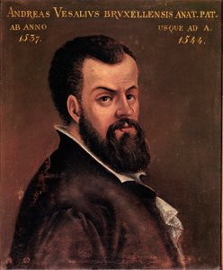Retrato de André Vesale (Andreas Vesalius) (1514-1564), anatomista e doutor em pintura anônima de Carlos V da escola italiana. Século XVI Pádua, Universidade de Italian School