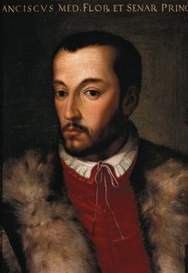 Retrato de Francesco I de Medici de Italian School