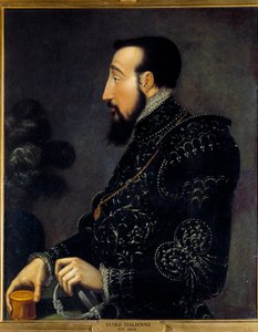 Retrato de Henrique II Rei da França (1519-1559) Pintura da Escola Italiana. Século XVI. Sol 0,58x0,46 m Chantilly, museu Conde de Italian School