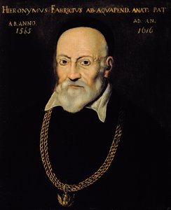 Retrato de Hieronymus Fabricius