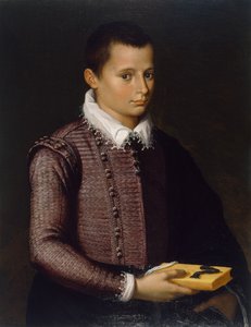 Retrato de um menino segurando um livro (óleo no painel de lindenwood)