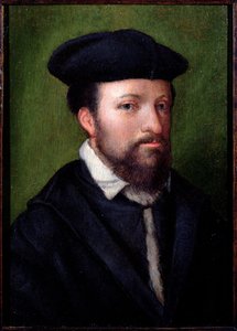 Retrato de um cavalheiro, norte da Itália, meados do século XVI (painel)