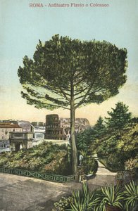 Roma, Itália, Anfiteatro e Coliseu (litografia a cores) de Italian School