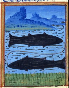 Sinal de peixe. Horóscopo italiano, meados do século XV. de Italian School